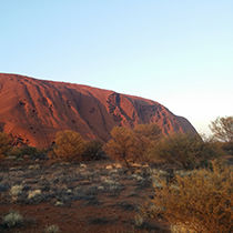 Uluru tours scenery